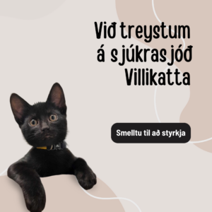 Styrkja Villiketti