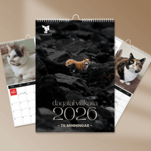 Dagatal Villikatta 2026 - Til minningar