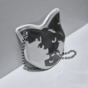 Endurskinsmerki - Villikettir